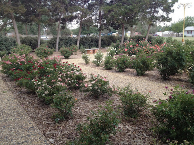 Lubbock Memorial Arboretum, United States
